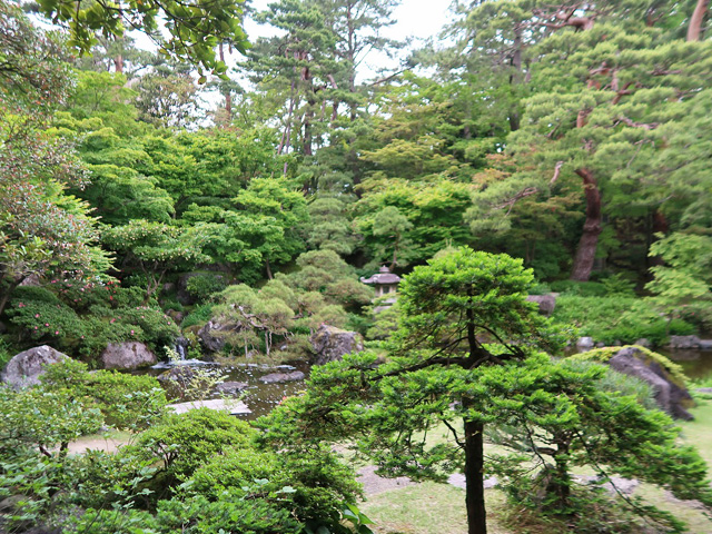 主庭